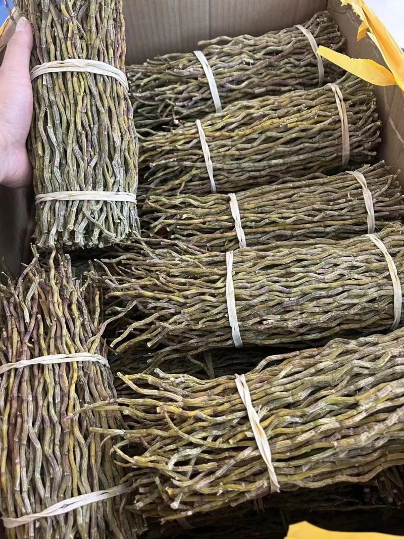 云南正宗铁皮石斛干条基地直播基地批发一件发货