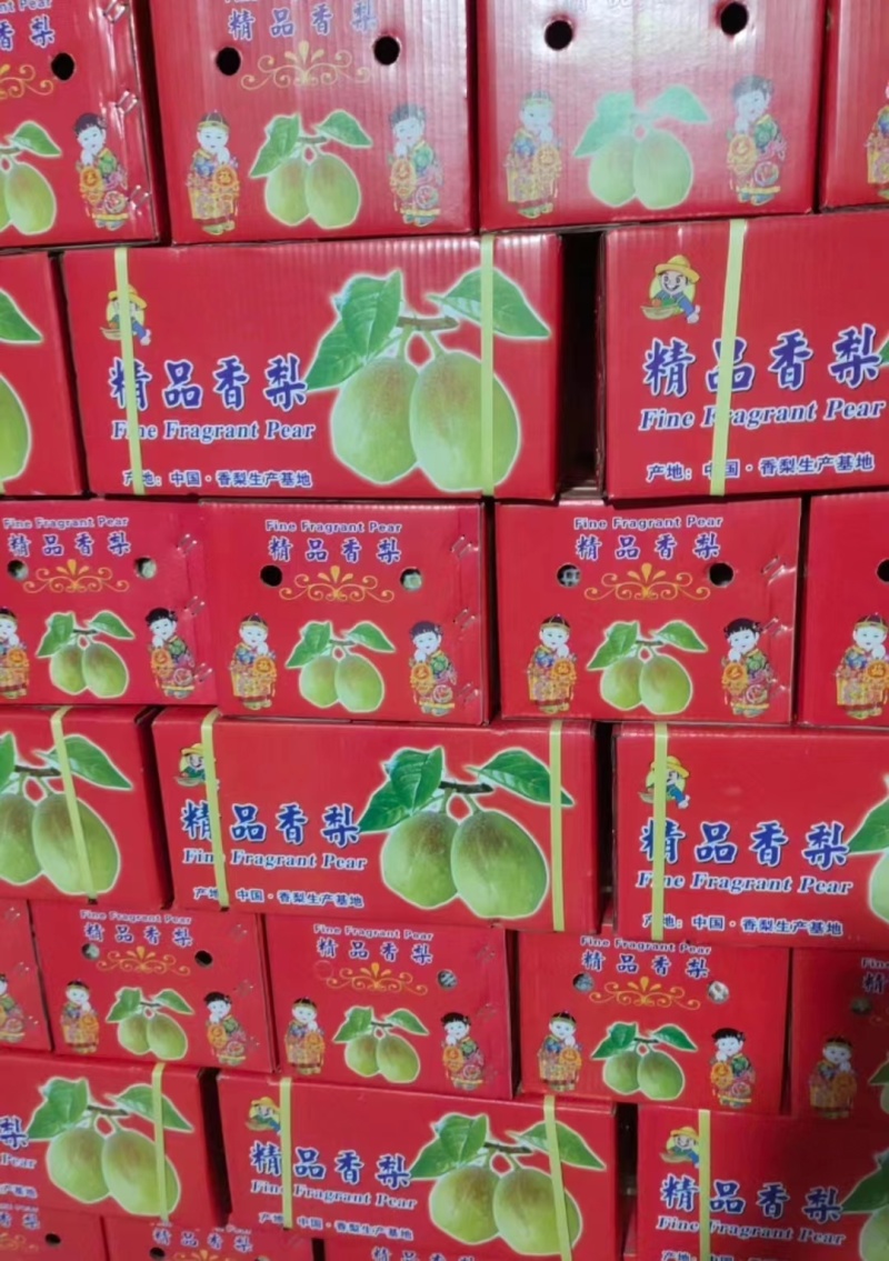 【推荐】礼盒香梨大量现货，口感细甜适合支持市场商超欢迎
