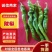 陇椒宁夏精品鲜辣椒大量上市产地直发保质保量量大优惠