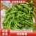 陇椒宁夏精品鲜辣椒大量上市产地直发保质保量量大优惠