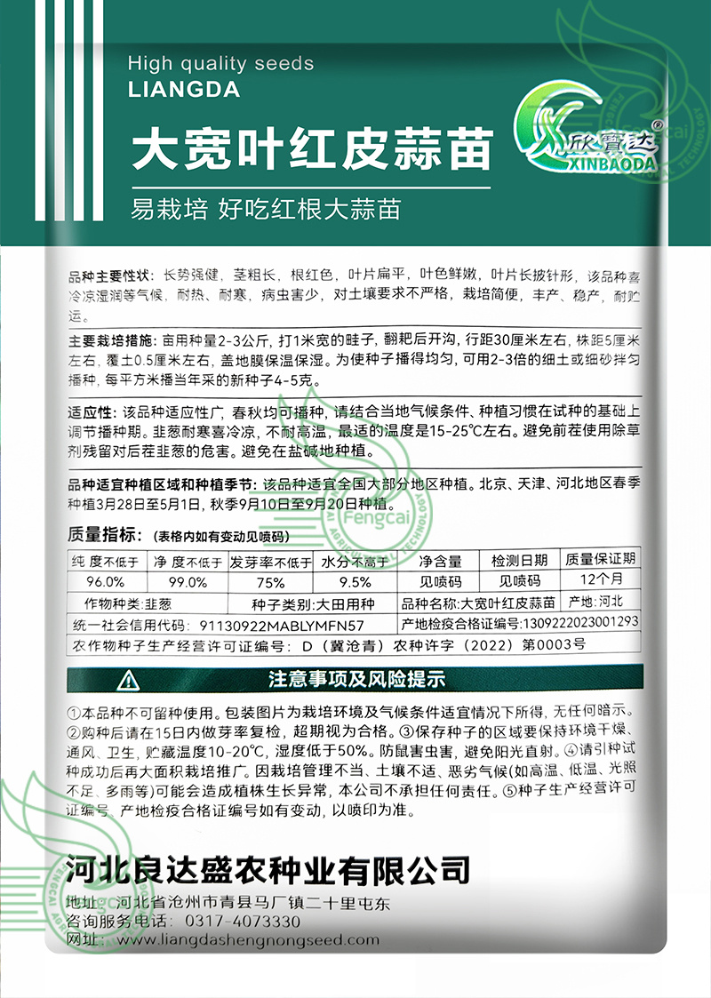 宽叶红皮蒜苗种子适宜全国大部分地区种植耐热耐寒好吃