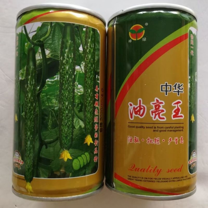 油亮王黄瓜种子早熟抗病瓜色亮绿瓜条叶直粗细均匀