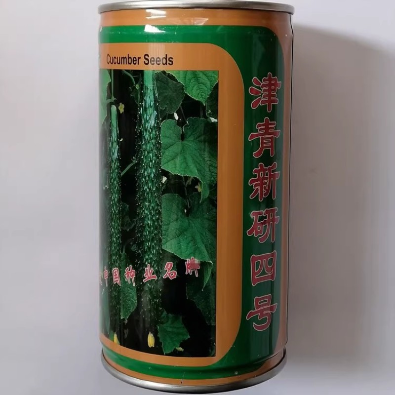 油亮王黄瓜种子早熟抗病瓜色亮绿瓜条叶直粗细均匀
