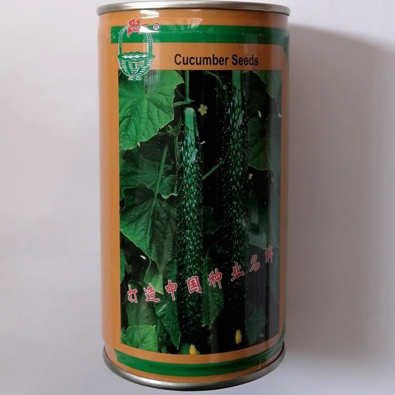 油亮王黄瓜种子早熟抗病瓜色亮绿瓜条叶直粗细均匀