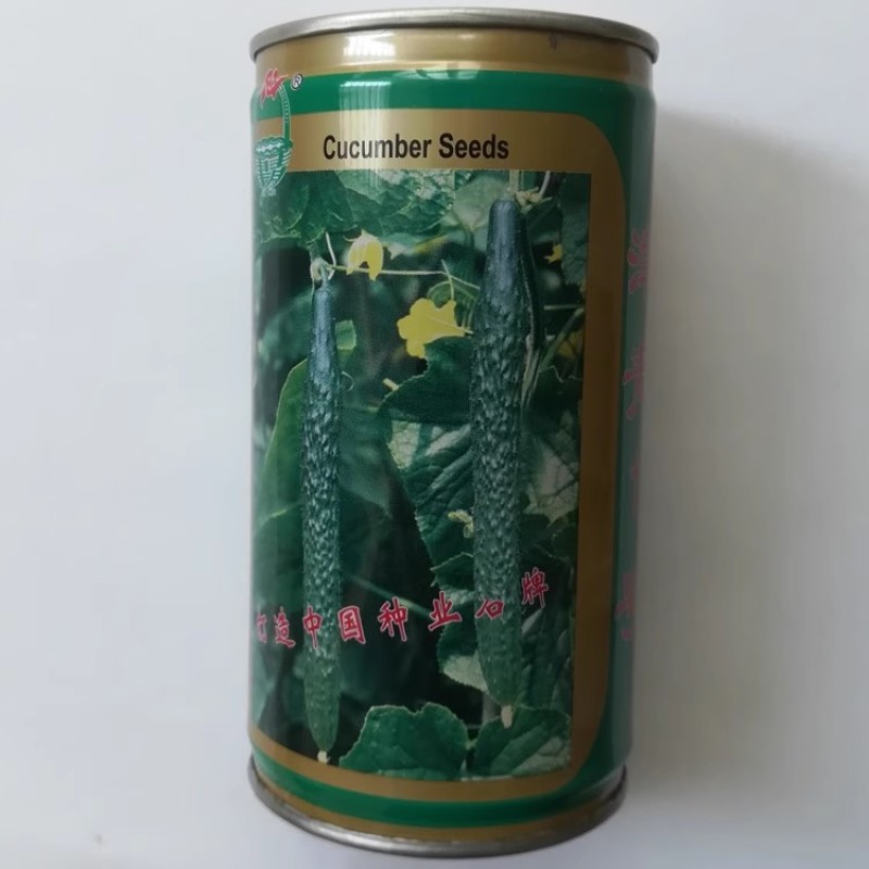 油亮王黄瓜种子早熟抗病瓜色亮绿瓜条叶直粗细均匀