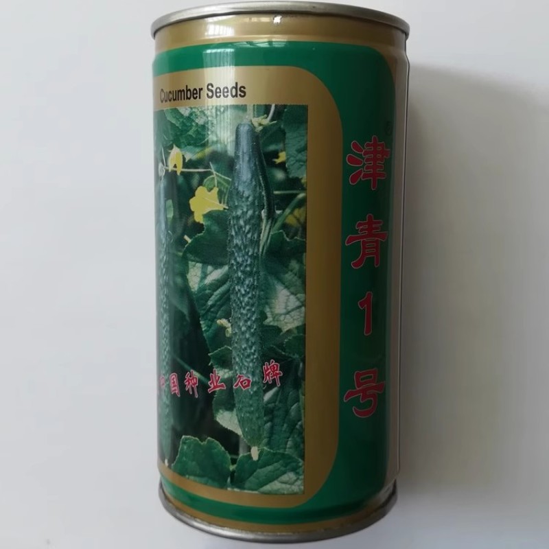油亮王黄瓜种子早熟抗病瓜色亮绿瓜条叶直粗细均匀