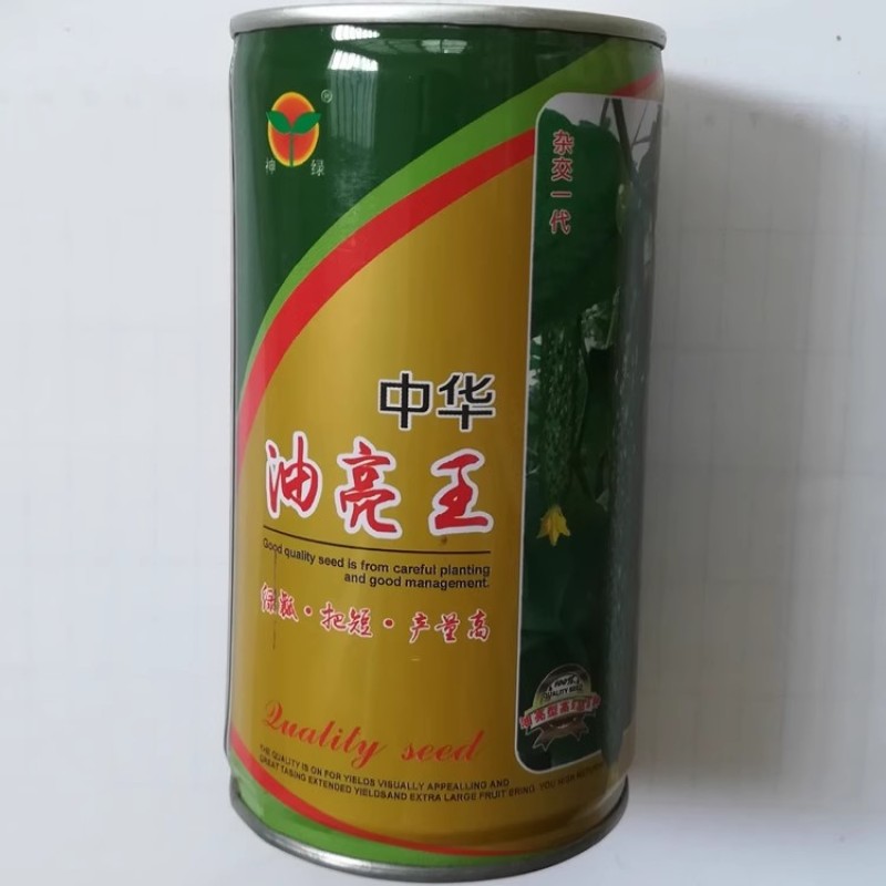 油亮王黄瓜种子早熟抗病瓜色亮绿瓜条叶直粗细均匀
