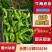 新鲜精品陇椒现采现发量大从优欢迎进店采购