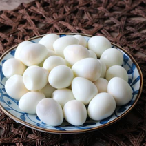 鲁臻鹌鹑蛋2.7kg餐饮食材鹌鹑蛋批发
