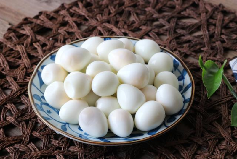 鲁臻鹌鹑蛋2.7kg餐饮食材鹌鹑蛋批发