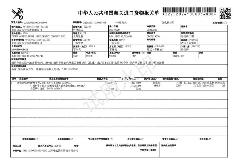 常年供应精品好蕉，特价香蕉，果面干净、黄金蕉不受寒