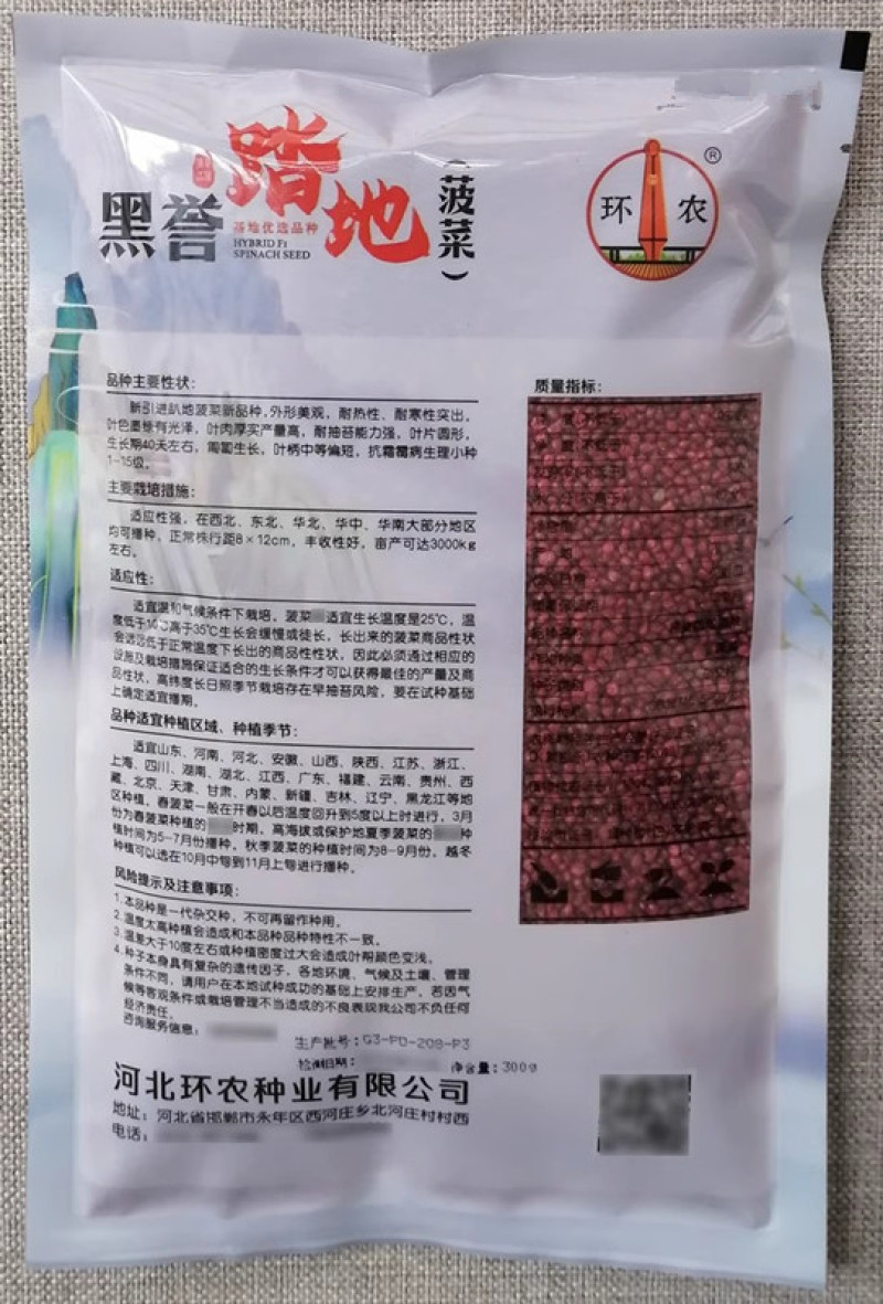 黑誉踏地菠菜种子趴地菠菜种子耐热耐寒肉厚圆叶耐抽