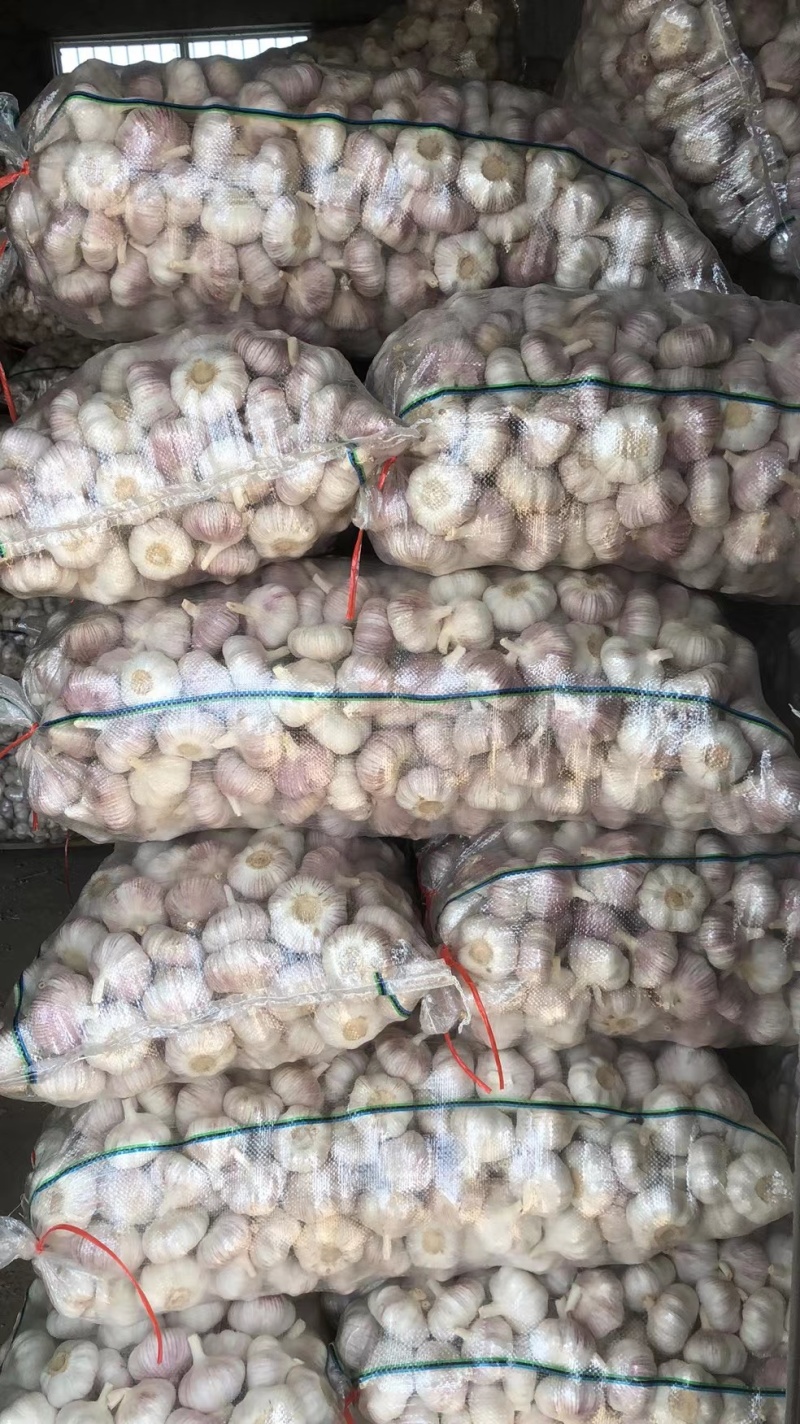 【精品净蒜】邳州净蒜代储代发源充足价格优惠