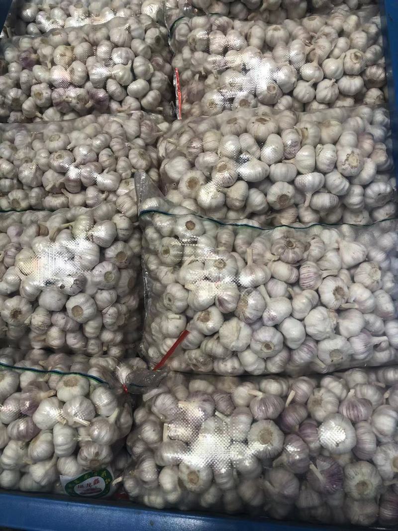 【精品净蒜】邳州净蒜代储代发源充足价格优惠