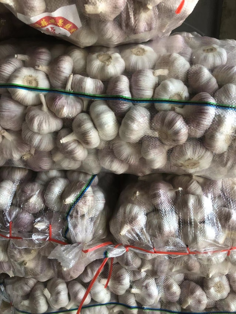 【精品蒜】邳州红皮净蒜代储长年代发全国批发市场