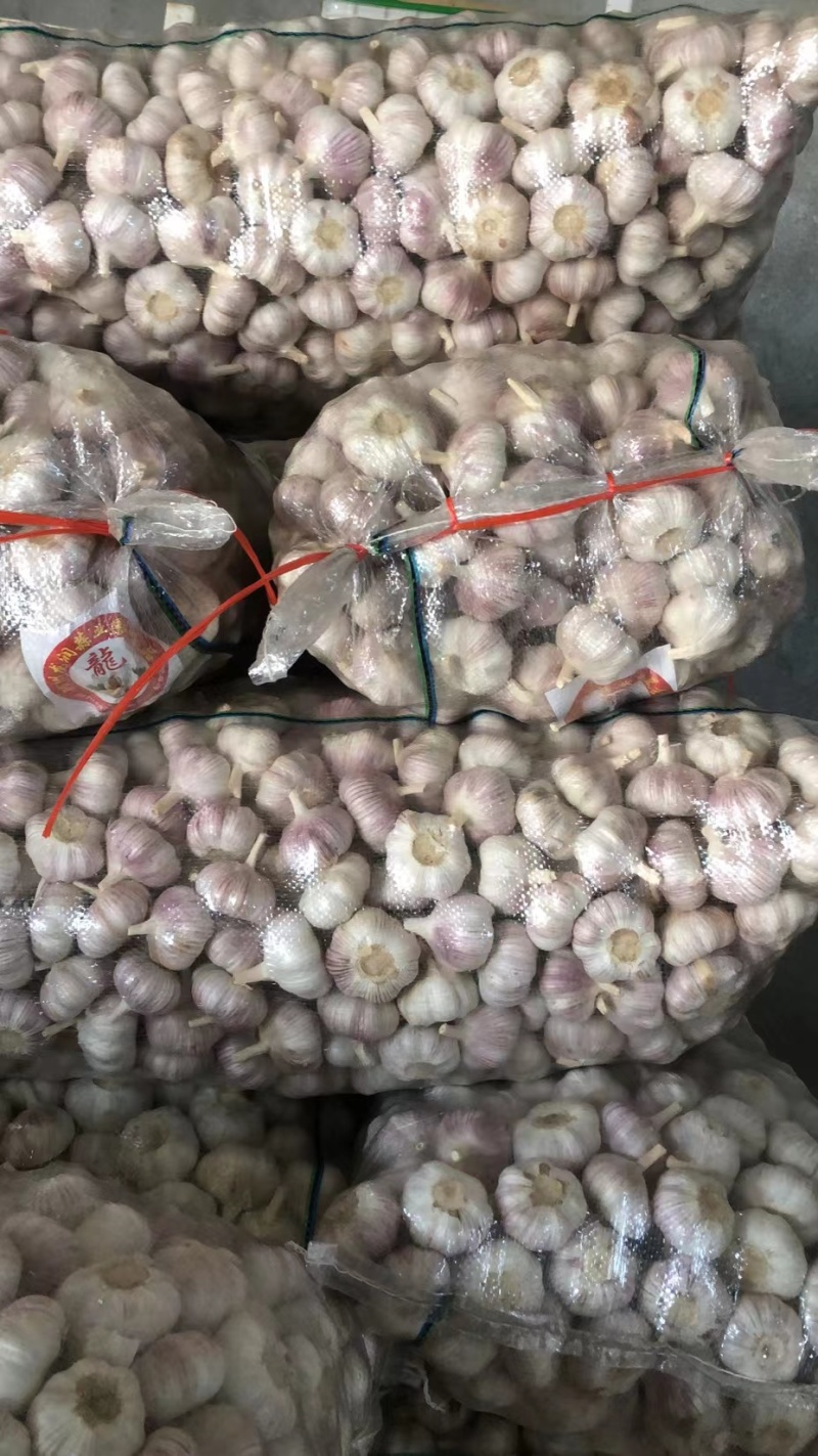 【精品蒜】邳州红皮净蒜代储长年代发全国批发市场