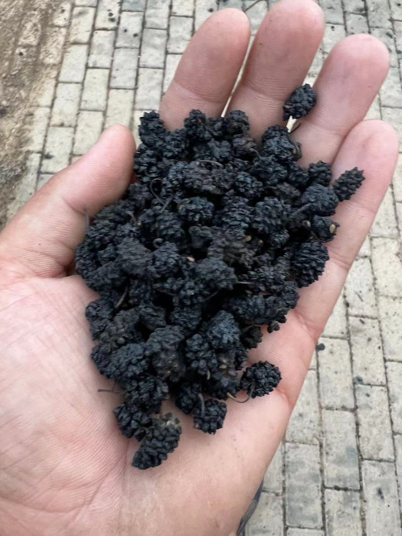 【推荐】桑葚干河北桑葚干产地直发货源充足对接全国市场