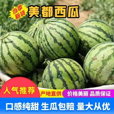 河南开封西瓜美都西瓜质量保证代收代发承接商超电商供货