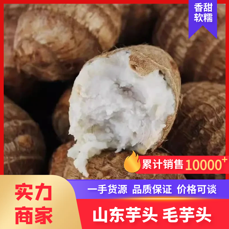 山东芋头山东毛芋头芋头8250规格齐全