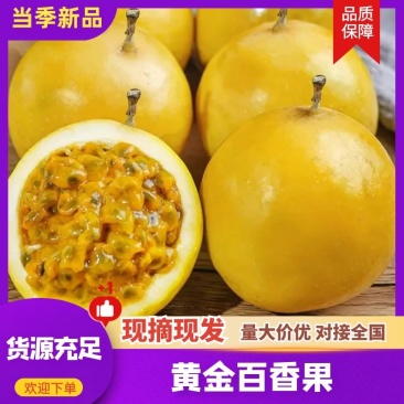 钦蜜9号黄金百香果，全年供应，可一件代发