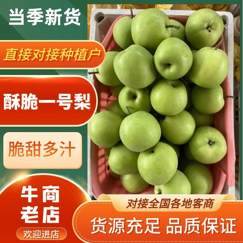 酥脆一号梨安徽砀山梨产地直发脆甜多汁对接电商市场