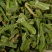 脱水菠菜叶菠菜干制品