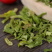 脱水菠菜叶菠菜干制品