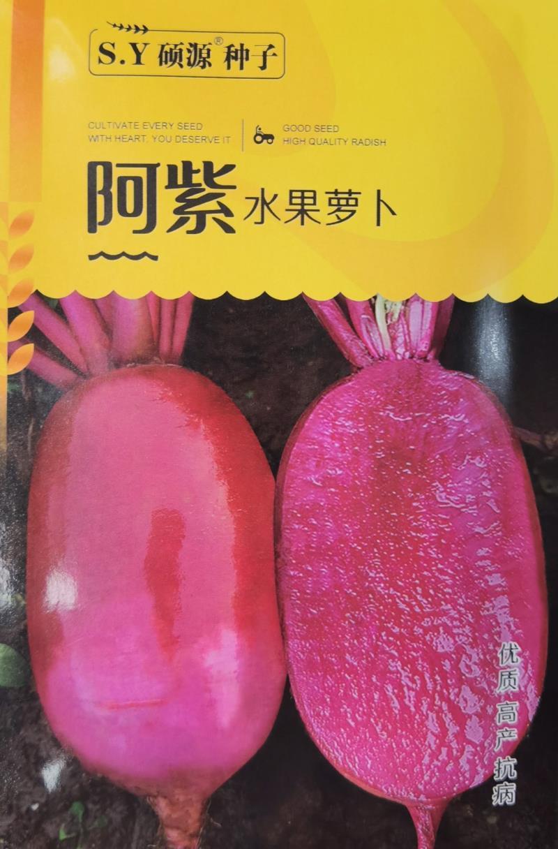 凤梨水果萝卜种子紫皮紫肉根皮光滑口感脆甜多汁无辣味