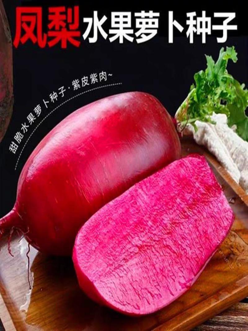 凤梨水果萝卜种子紫皮紫肉根皮光滑口感脆甜多汁无辣味