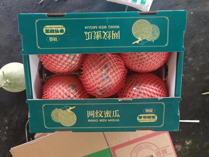 网纹蜜瓜山东产地直供甜度高价格低规格齐全欢迎咨询