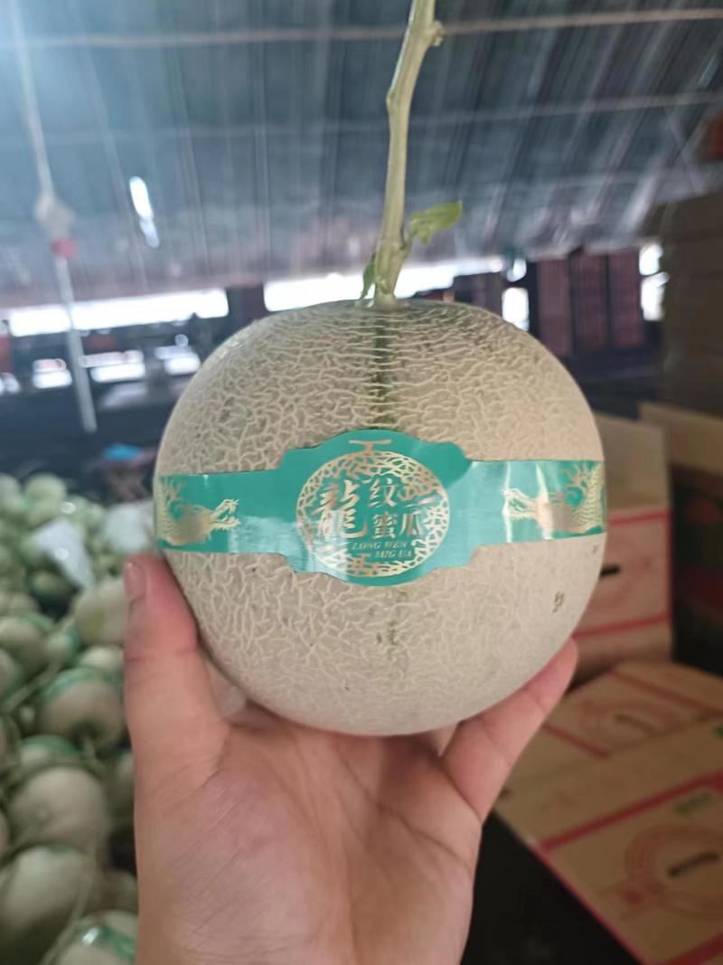 网纹蜜瓜山东产地直供甜度高价格低规格齐全欢迎咨询