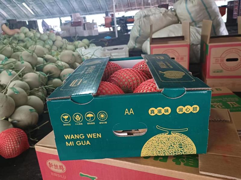 网纹蜜瓜山东产地直供甜度高价格低规格齐全欢迎咨询