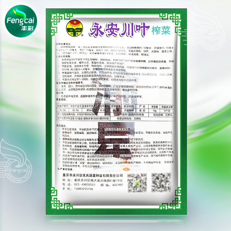 重庆永安川叶榨菜种子茎瘤近圆形口感脆嫩味道清香