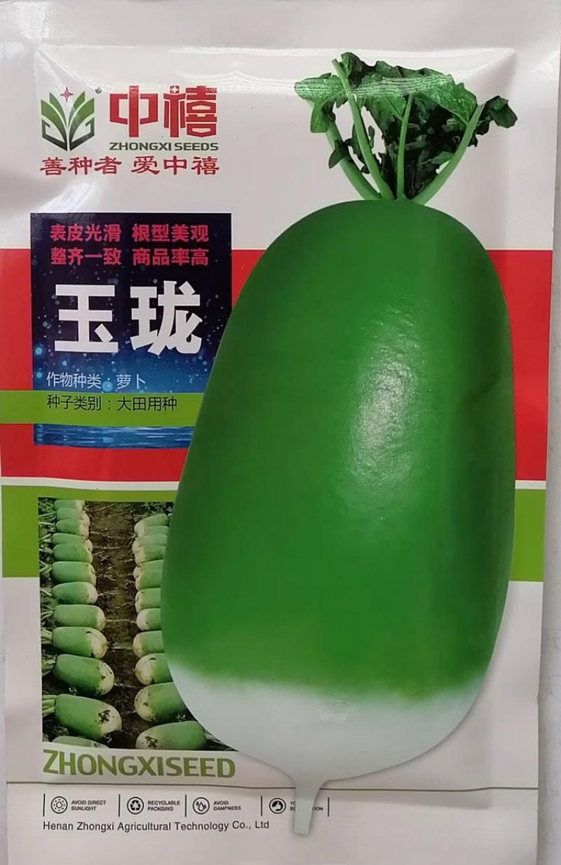 郑研K19萝卜种子青萝卜种子青皮青肉脆甜味美