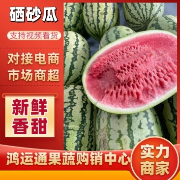 【实力供货】靖远硒砂瓜石头瓜产地大吨位供应打包一条龙服务