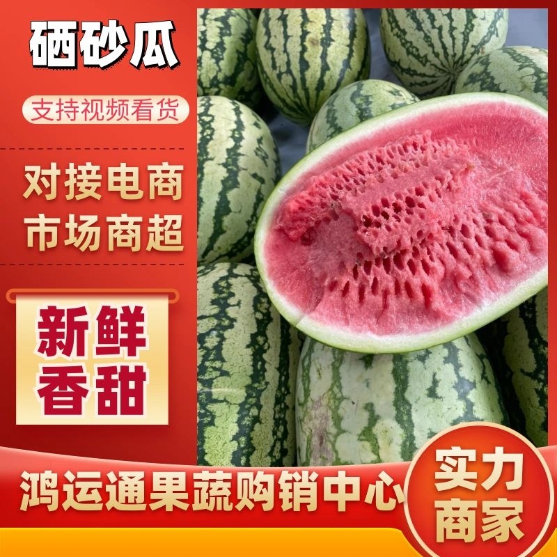 【实力供货】靖远硒砂瓜石头瓜产地大吨位供应打包一条龙服务