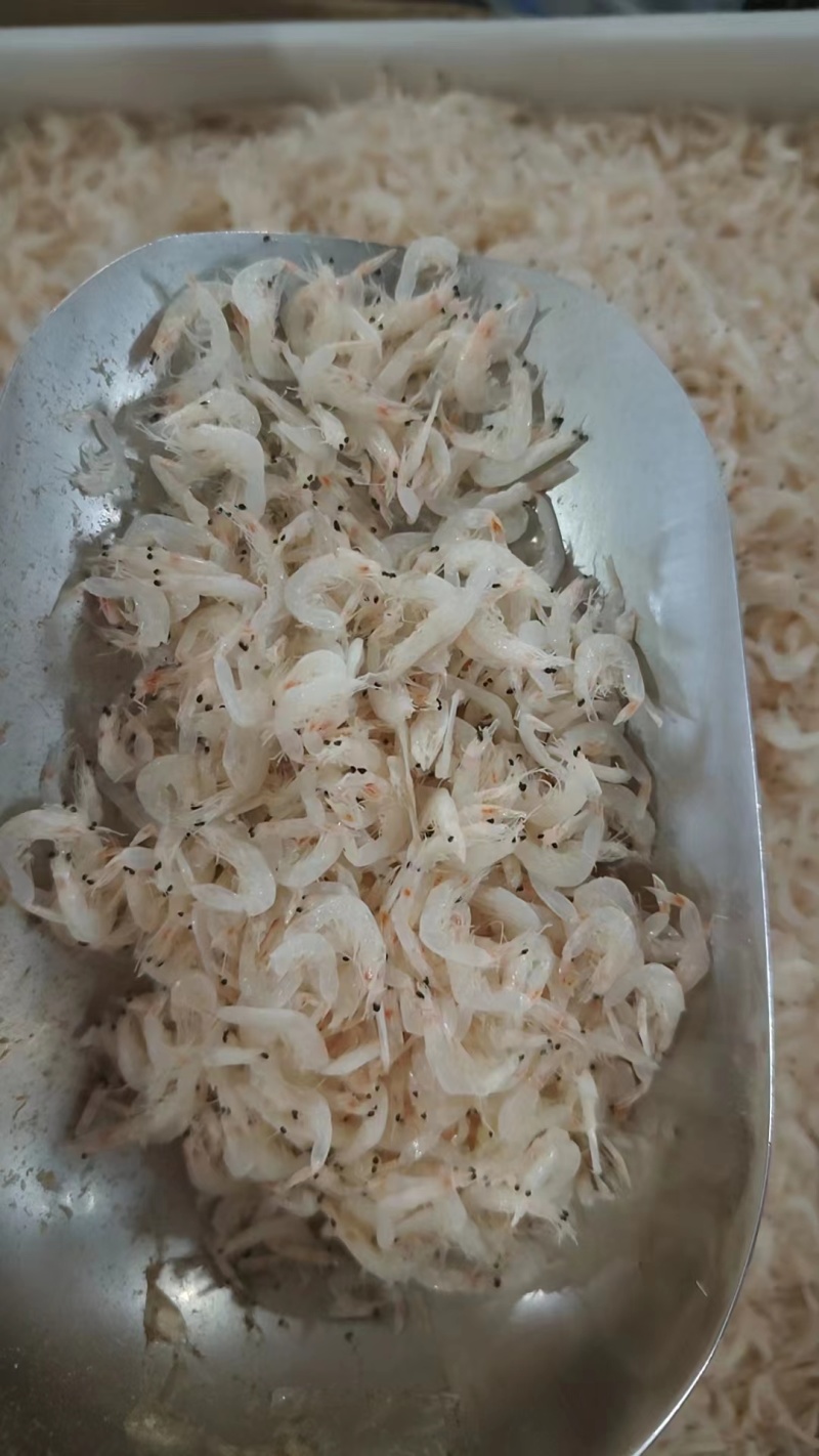 威海虾皮山东大虾皮大量批发一手货源！