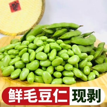 毛豆仁烧烤油炸毛豆仁小吃铁板食材冷冻半成品商用