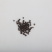 黑胡椒粒黑胡椒碎黑胡椒粉