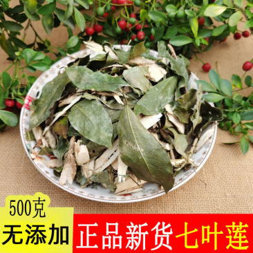 七叶莲新鲜靓货中药材野生新邮品大货批发一手货源