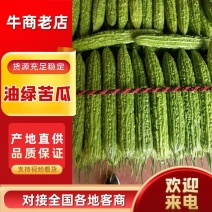 寿光孙集精品苦瓜，色泽鲜艳，齐定，产地直供