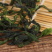 脱水万年青脱水菜心干制品