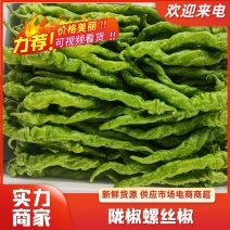 热卖陕西省渭南市富平县阎良区陇椒螺丝椒辣椒鲜辣椒新货上市