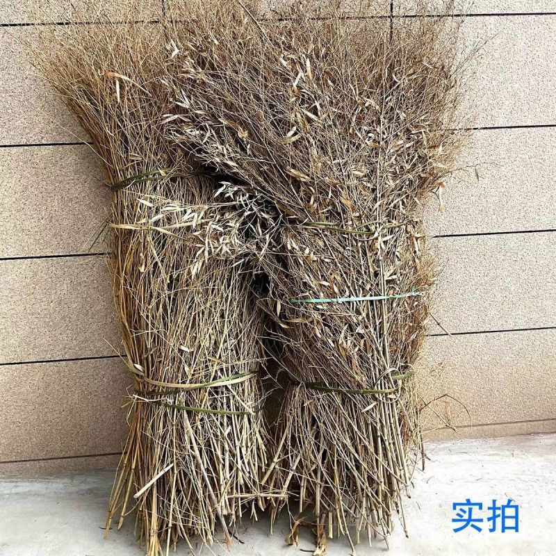 【扫帚】扫把竹技大量供应基地直发提供一条龙服务