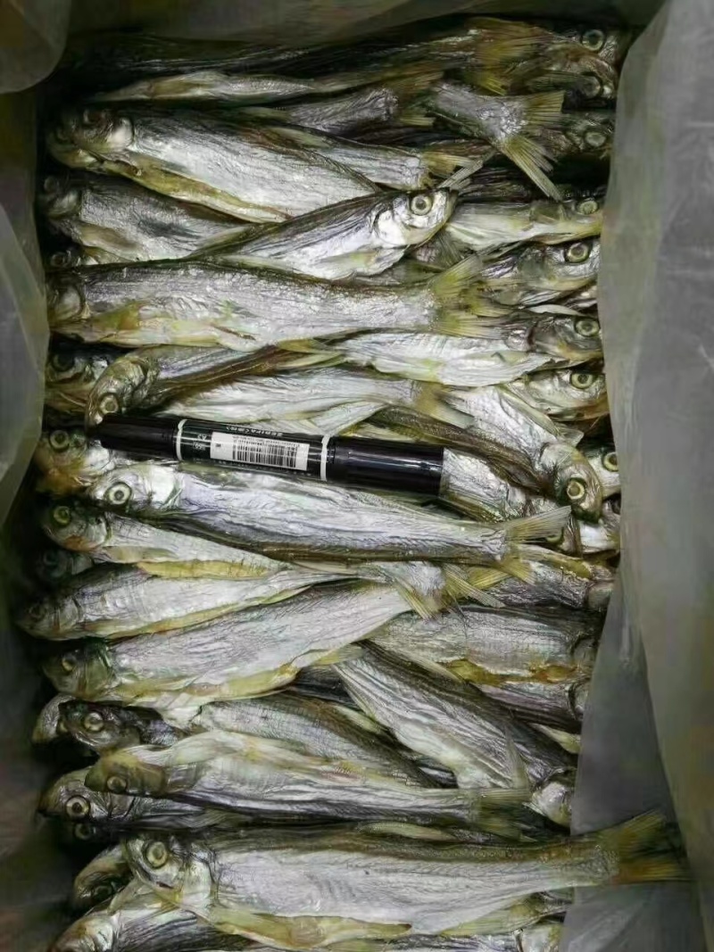 【推荐】优质调理糍粑刁子鱼保质保量价优代发全国欢迎