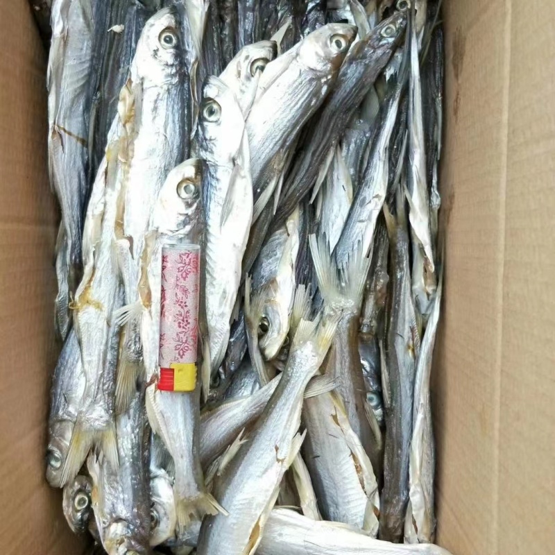 【推荐】优质调理糍粑刁子鱼保质保量价优代发全国欢迎