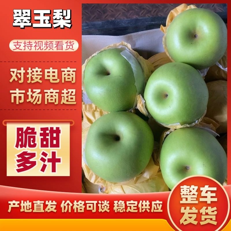 精品安徽砀山翠冠梨、丰水梨，现货个大皮薄口感脆甜大量有货