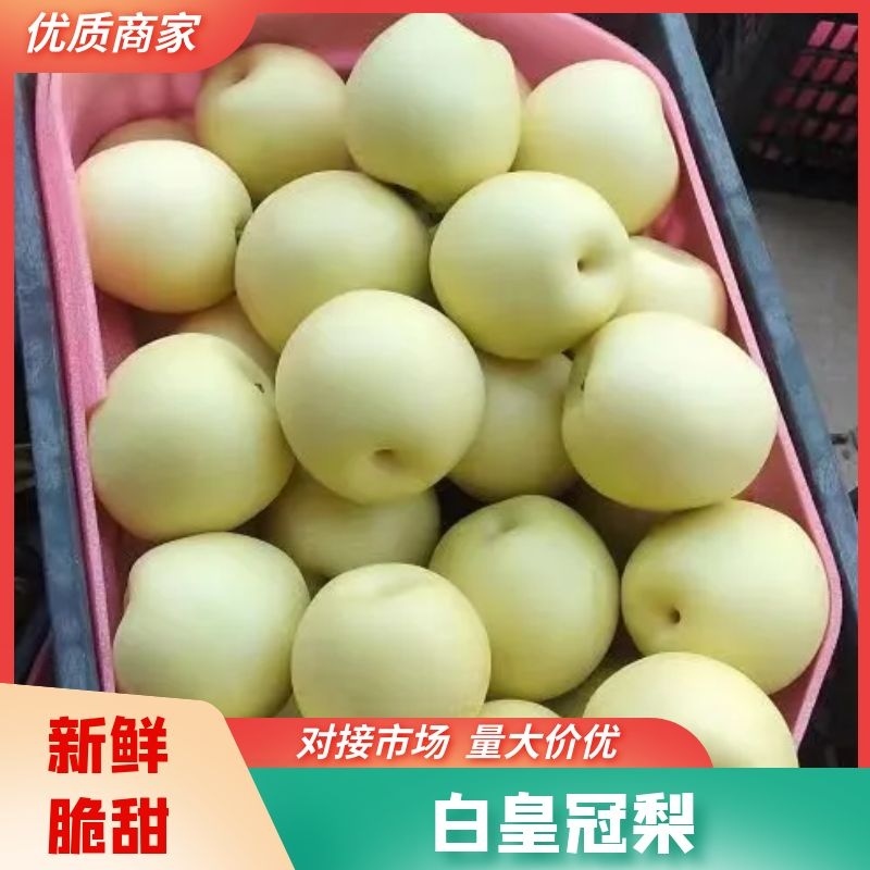 （实力推荐）安徽砀山酥脆一号梨个大皮薄口感脆甜欢迎咨询
