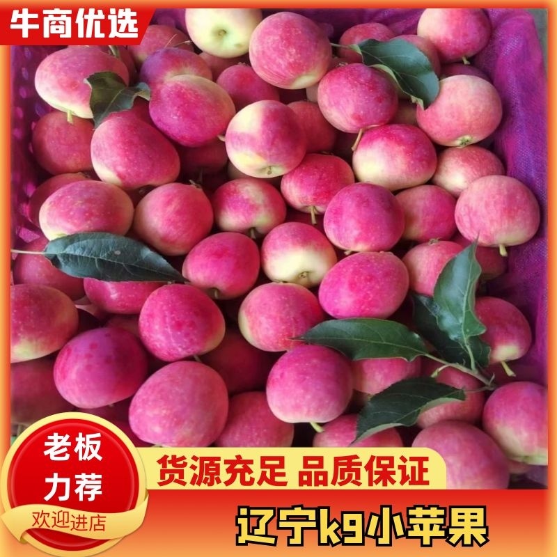 【推荐】开原精品K9苹果，鸡心果，123小苹果一手货源