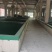 【清水藕】藕片对接电商餐厅市场团购等各类客户